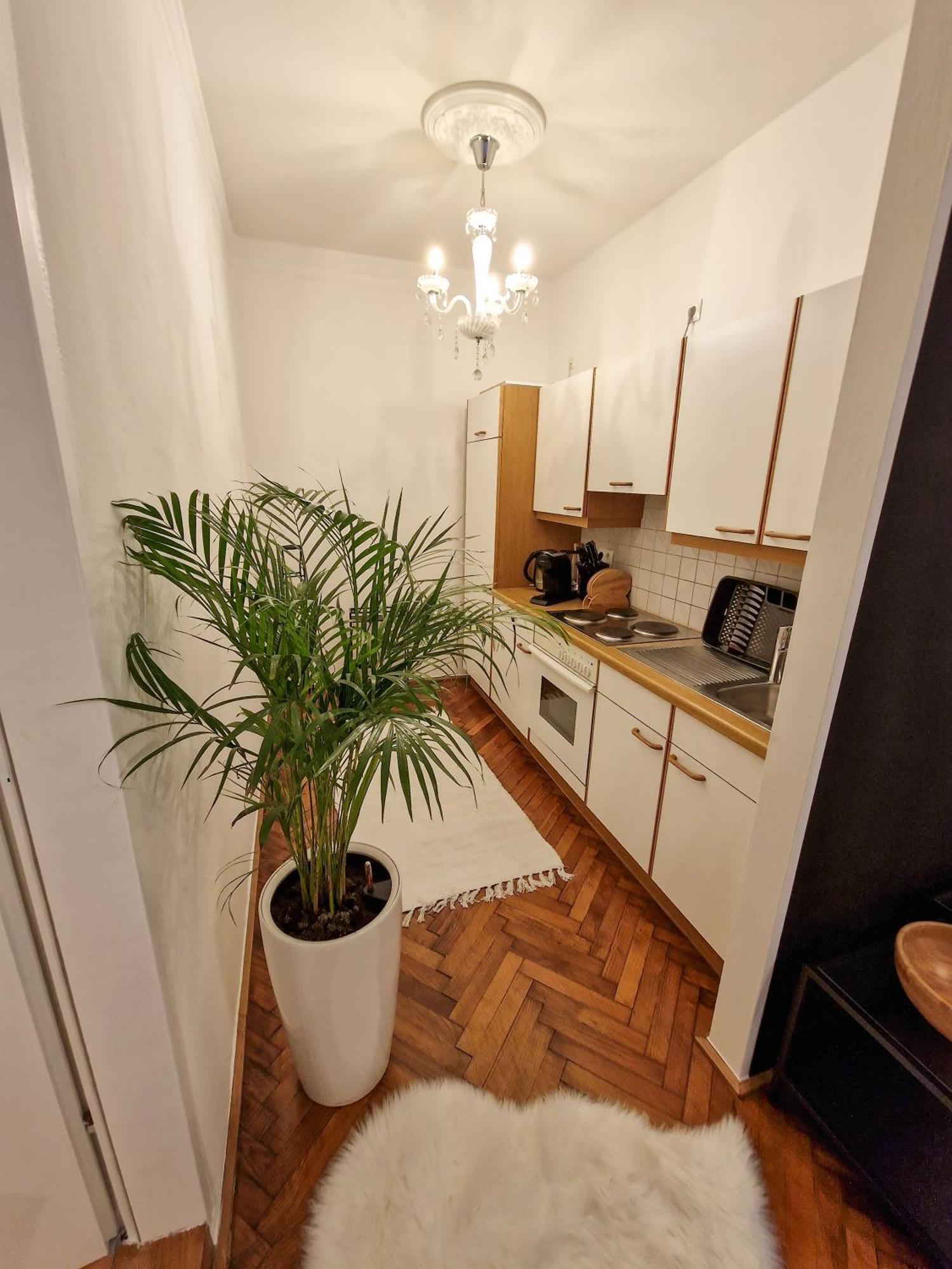 Rm Appartements 穆劳 外观 照片